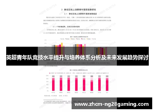 英超青年队竞技水平提升与培养体系分析及未来发展趋势探讨
