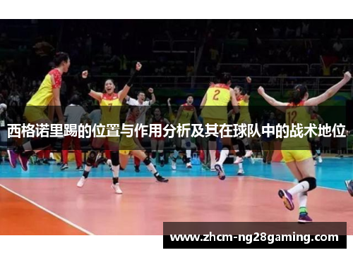 西格诺里踢的位置与作用分析及其在球队中的战术地位