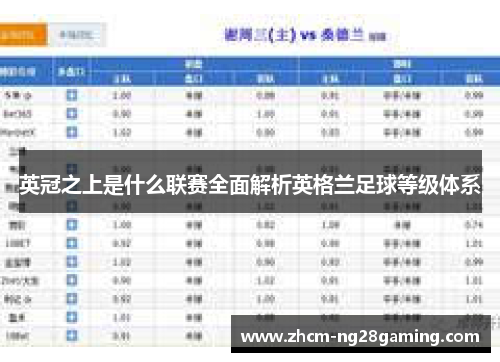 英冠之上是什么联赛全面解析英格兰足球等级体系