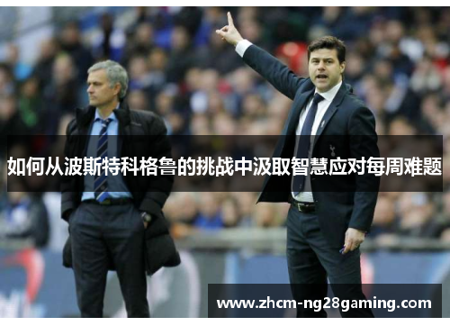 如何从波斯特科格鲁的挑战中汲取智慧应对每周难题