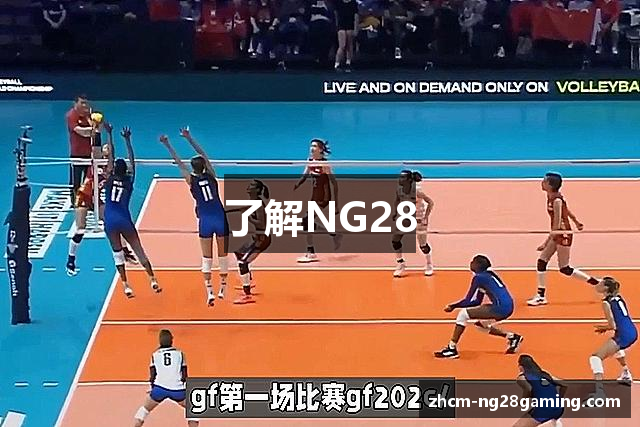 了解NG28